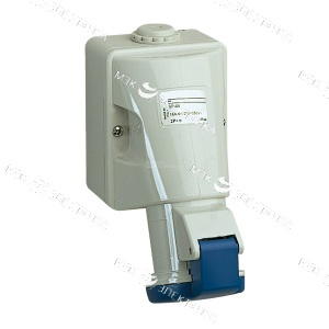 Розетка стационарная Schneider Electric 32A (IP44)2 P (83116)