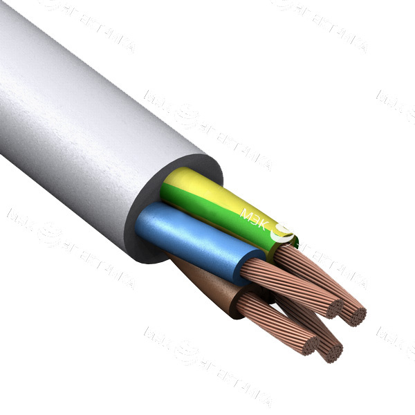 ПВСнг-LS 5х4,0