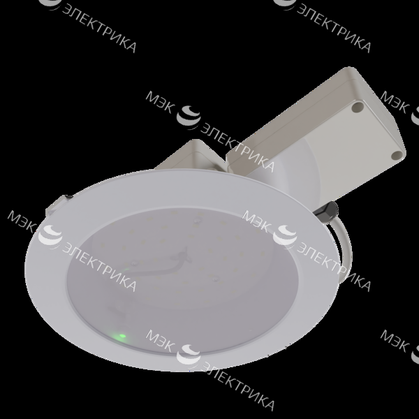 Светильник светодиодный Radian NEW/Em/23/Д/840/03/220AC IP54 LEDEL RD23-142-317-1261