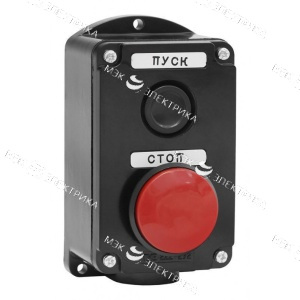 Пост кнопочный ПКЕ 222/2 IP54