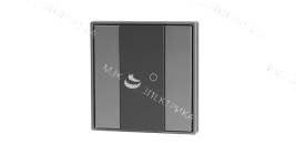 Кнопочная панель 2-х кл. (1 группа), пластиковый корпус, черный DA-SW-G1-PB