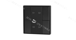 Кнопочная панель 4-х кл. DA-SW02 (2 группы)