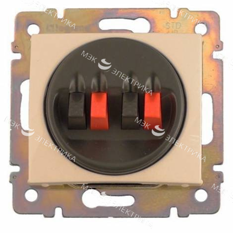 Розетка 2-м СП Valena для динамиков механизм сл. кость Leg 774324