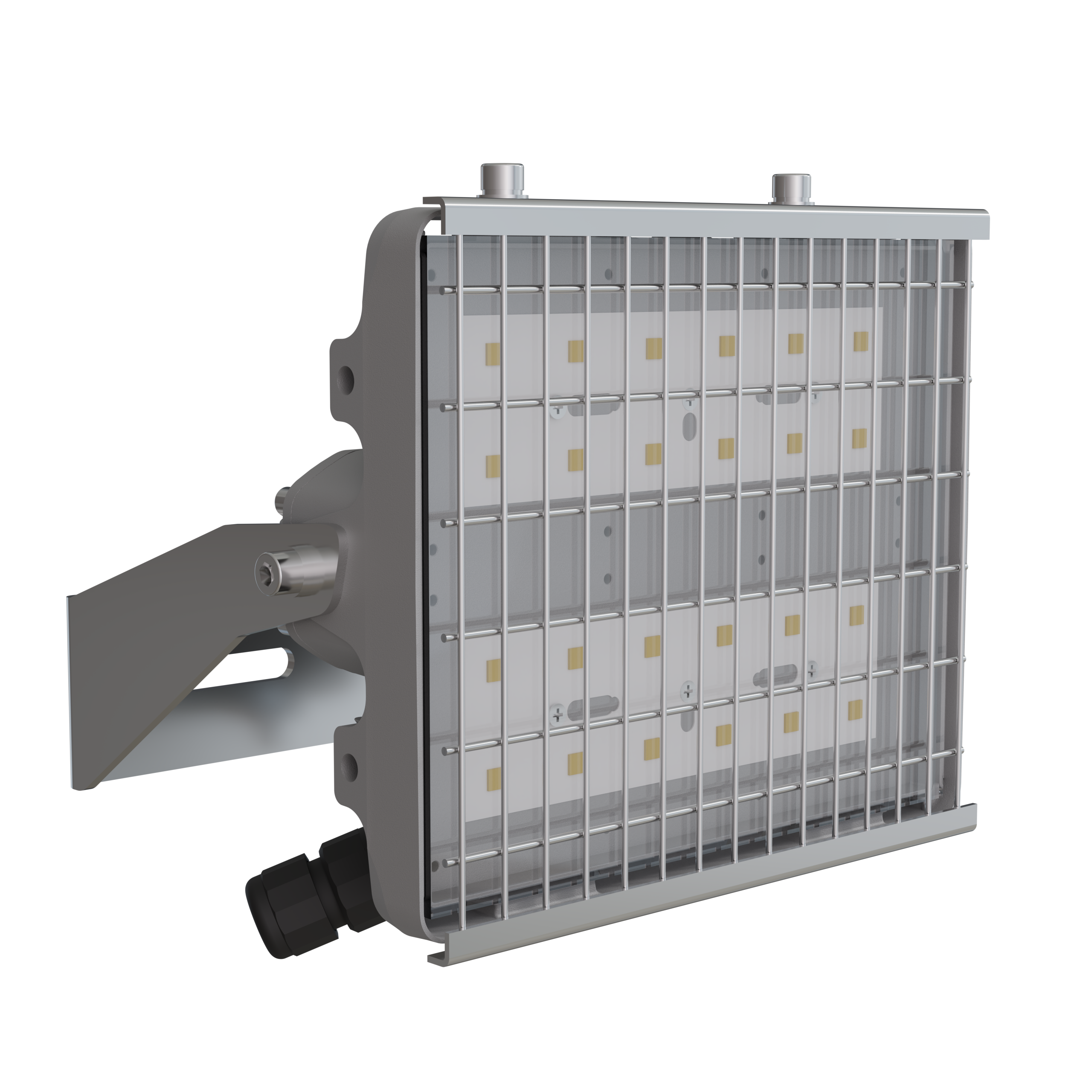 Светильник L-pixel 2 banner/100/Г60/950/R5/05/I1-C2/230AC IP66 #