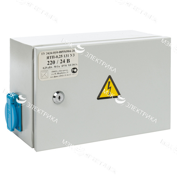Ящик с понижающим трансформатором ЯТП - 0,25 220/24 IP65 (ОСО) (3 авт) (225x150x125)