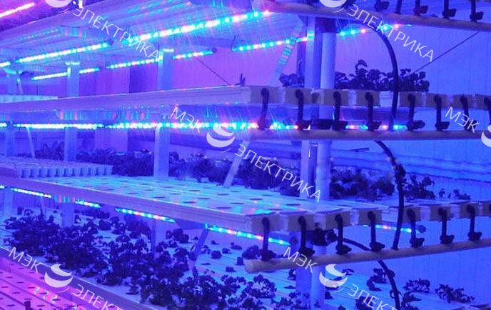 Светильник светодиодный для растений L-FITO 50