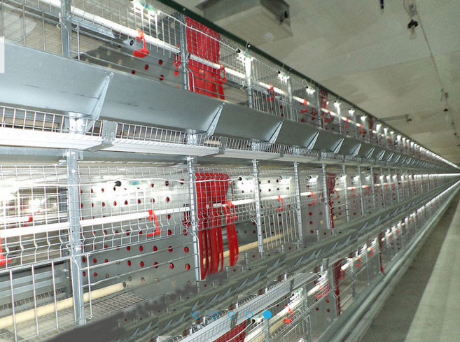 Lline-F.jpg Lline-F.jpg